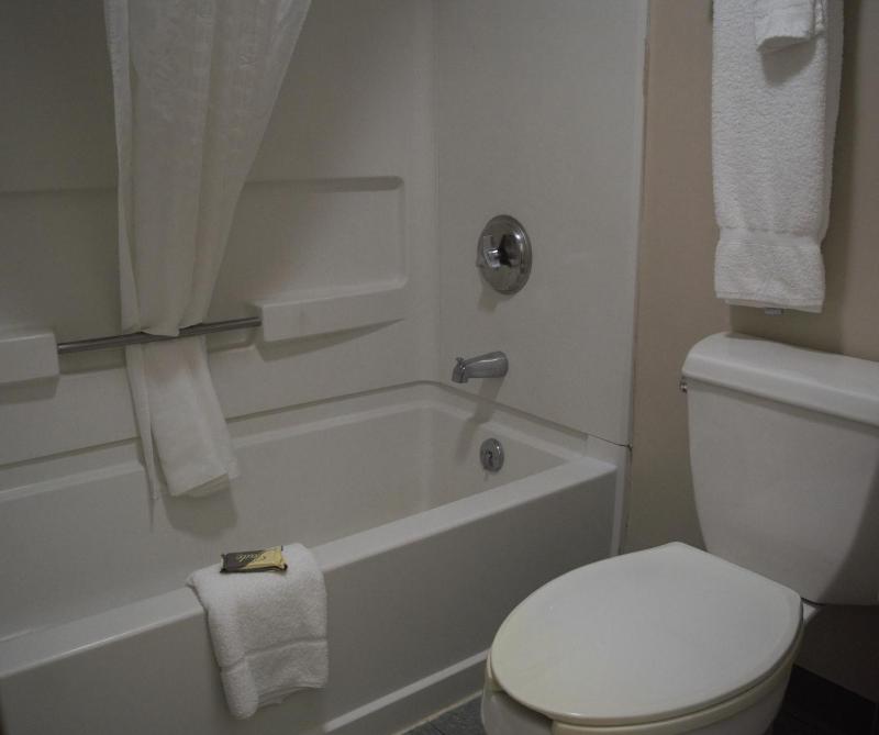 King Room - Pet-Friendly image 4