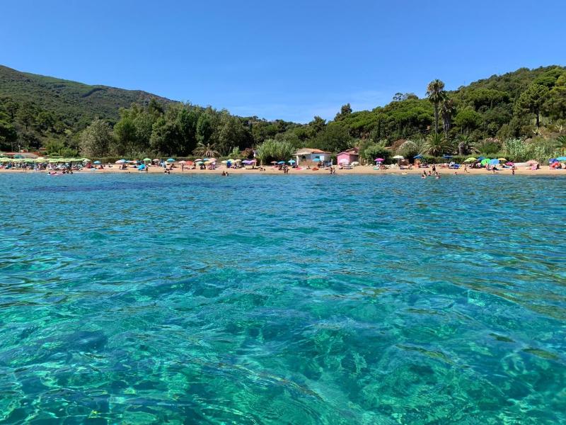 casina mare sulla spiaggia - image 19