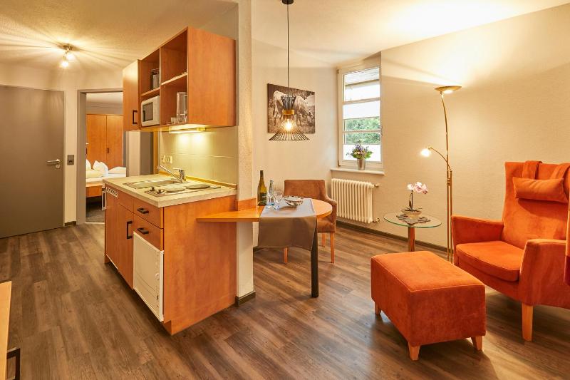 Comfort Single Apartment image 1