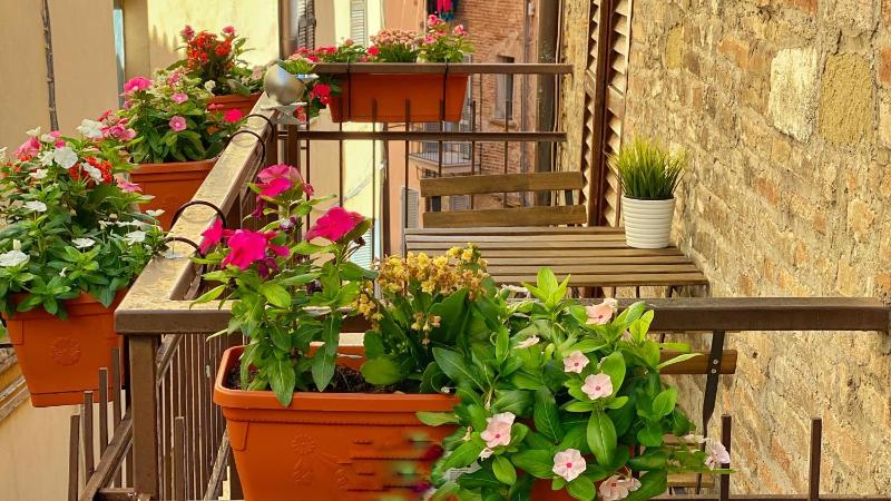 Hotel S. Ercolano - image 16