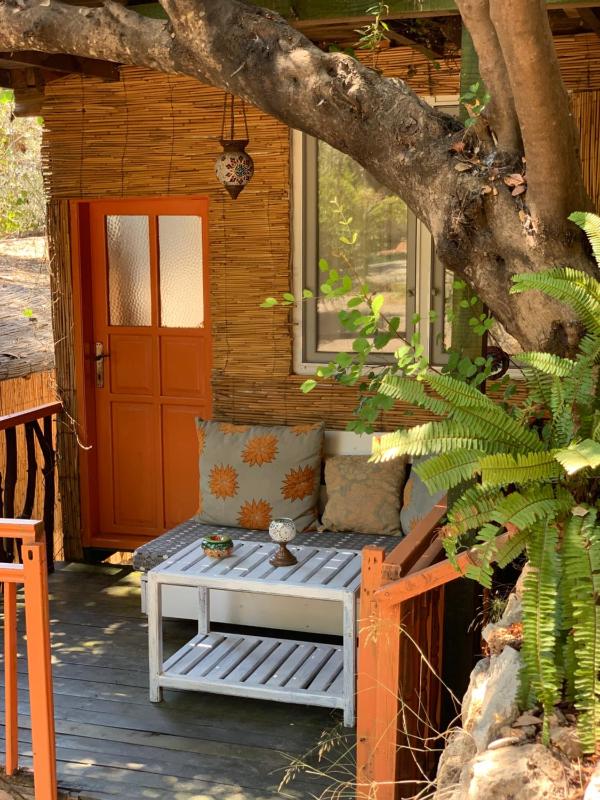 Deluxe Bungalow image 2