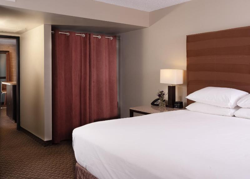 King Suite with Sofa Bed image 3