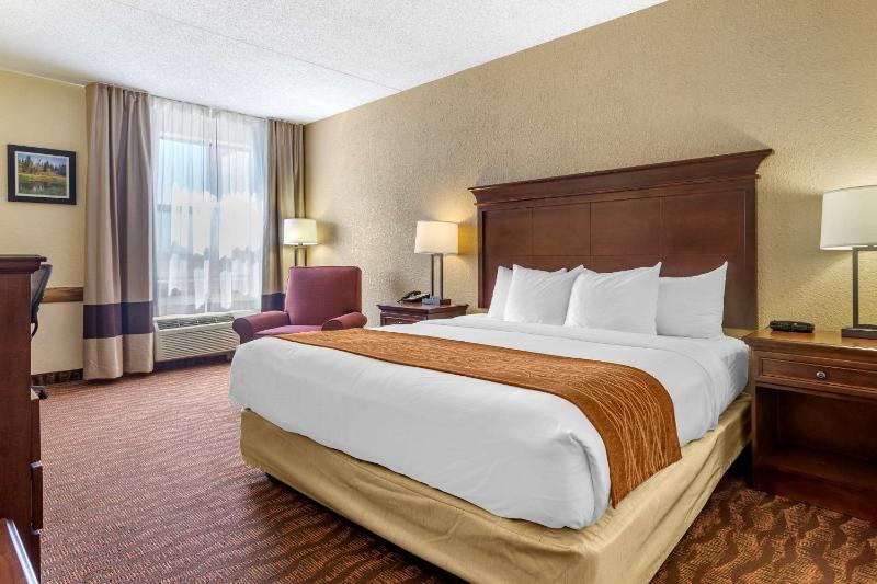 King Room - Non-Smoking image 1