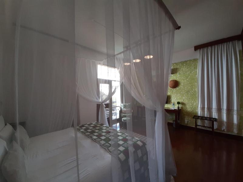 FIGTREE GUESTHOUSE - image 2