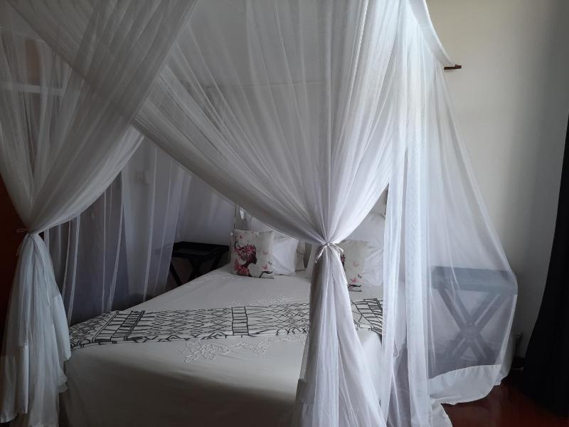 FIGTREE GUESTHOUSE - image 8