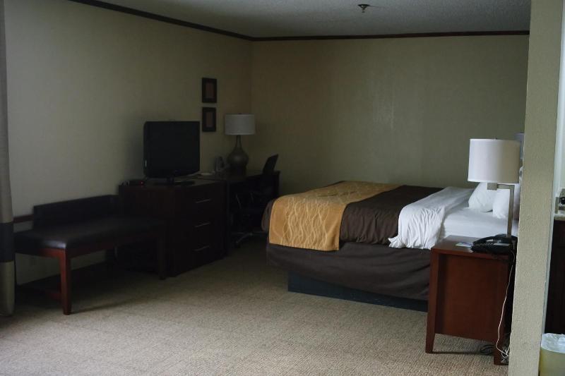 Efficiency King Suite with Whirlpool - Non-Smoking image 4