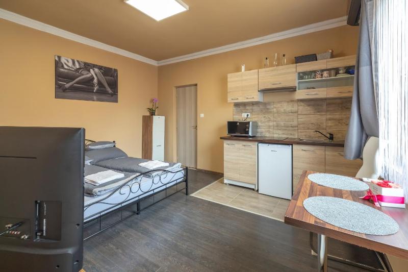 Deluxe Apartment image 3