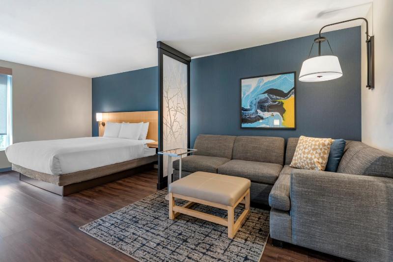 Standard King Room with Sofa Bed image 4