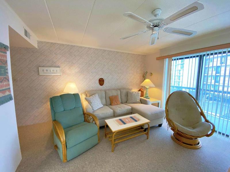 Ocean Princess 207 - image 5