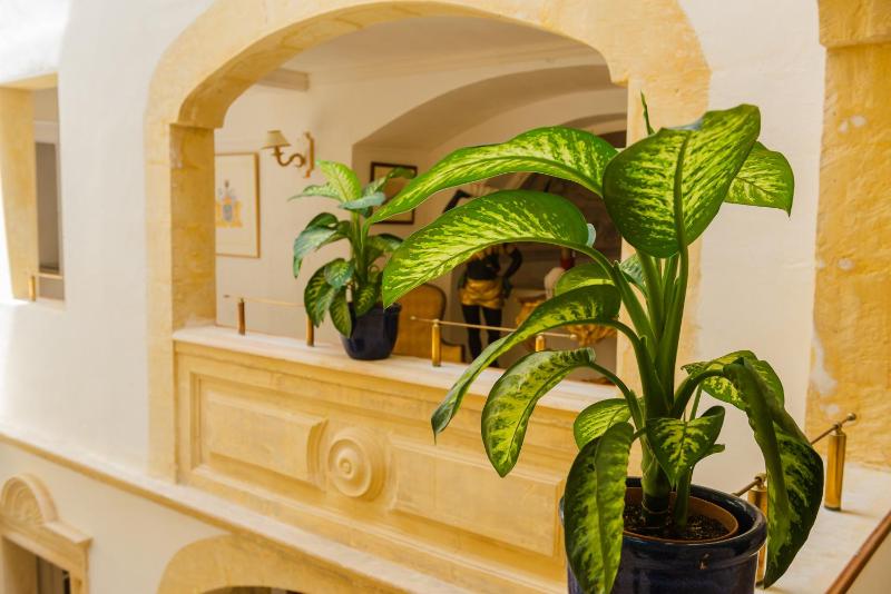 Casa Rocca Piccola B&B - image 12