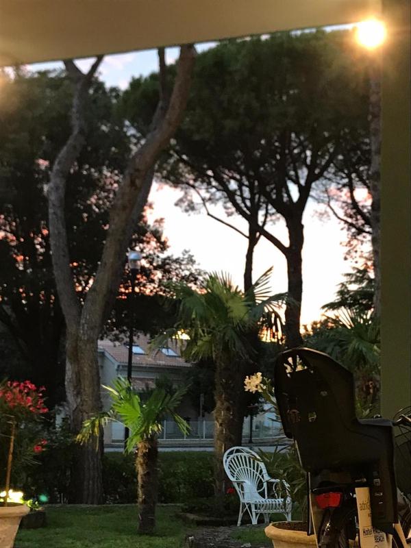 Hotel Palm Beach - image 17