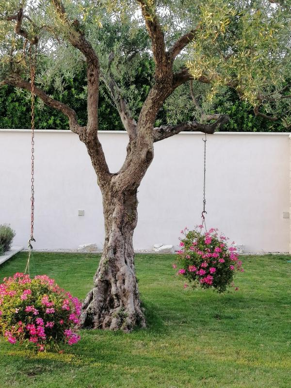Villa Roza - image 9