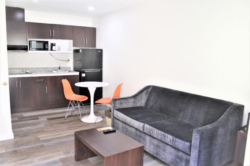 King Studio Suite with Sofa Bed and Kitchen - Non-Smoking image 2
