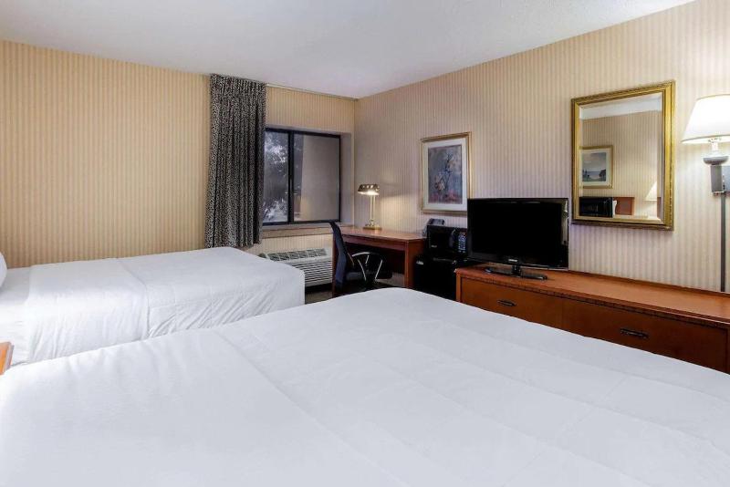 Double Room with Two Double Beds image 3