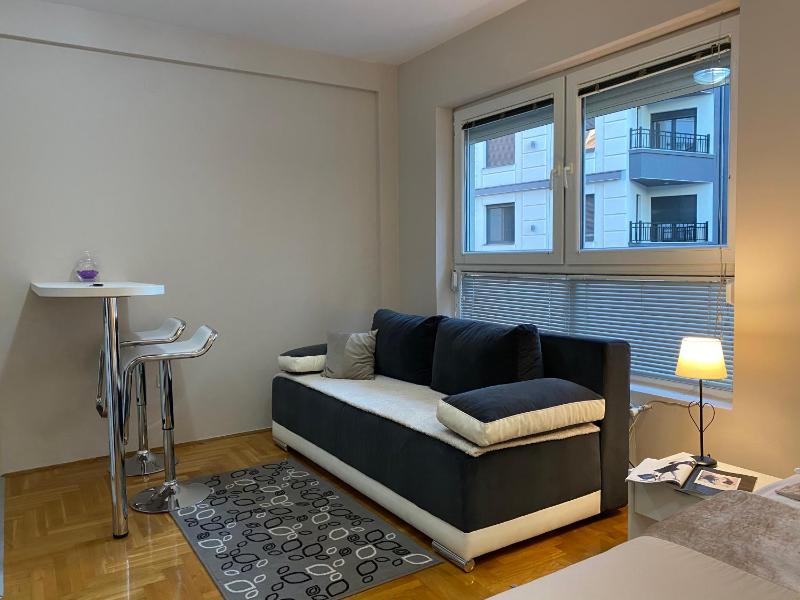 Studio Apartment image 4