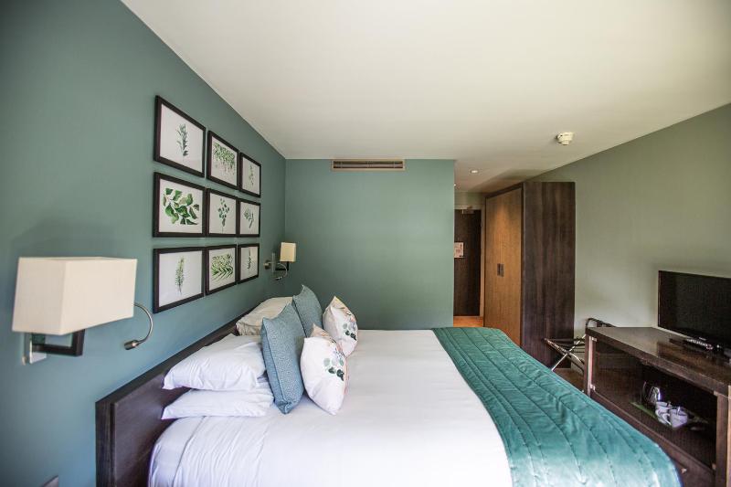 Superior Double or Twin Room image 4