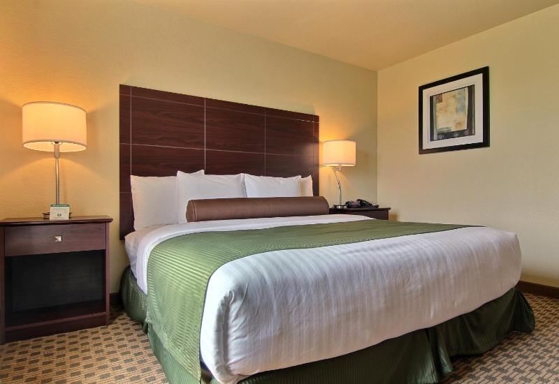 Deluxe King Room image 4