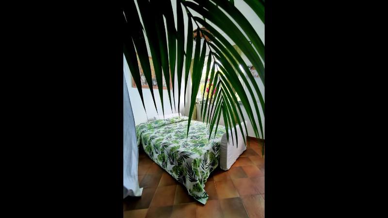 Positano Comfortableapt With Gorgeous Lemongarden - image 17