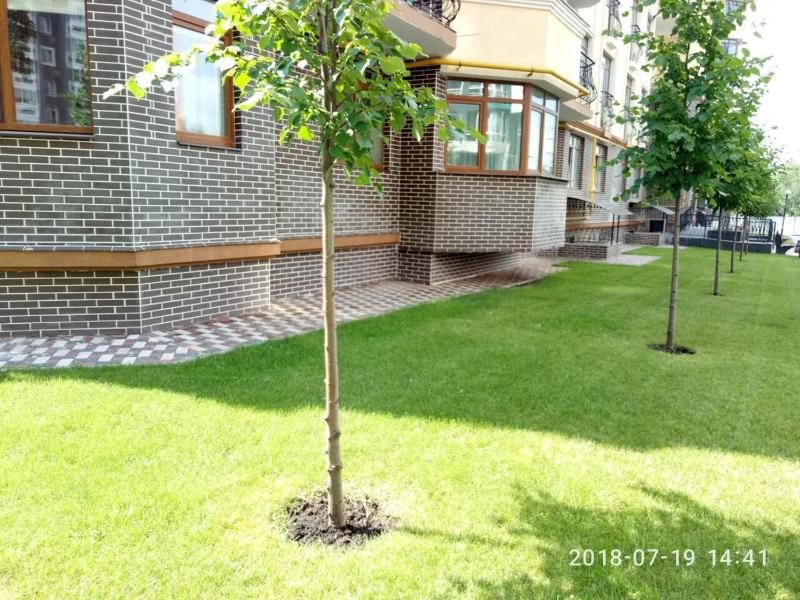 Apartment with Balcony image 4