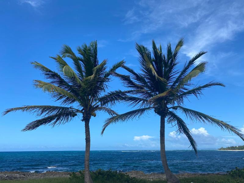 VILLA PHARE CARAÏBES Guadeloupe - Rooftop & Ocean View - image 15