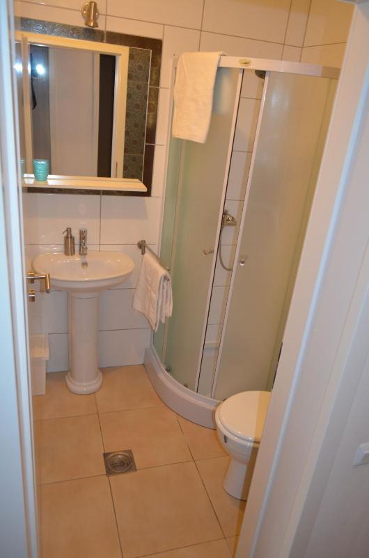 Two-Bedroom Apartment image 4