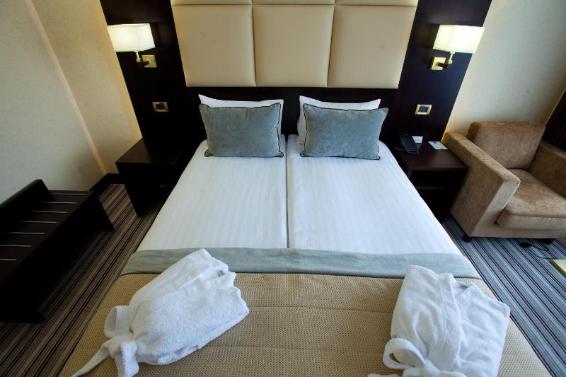 Premier Twin Room image 3