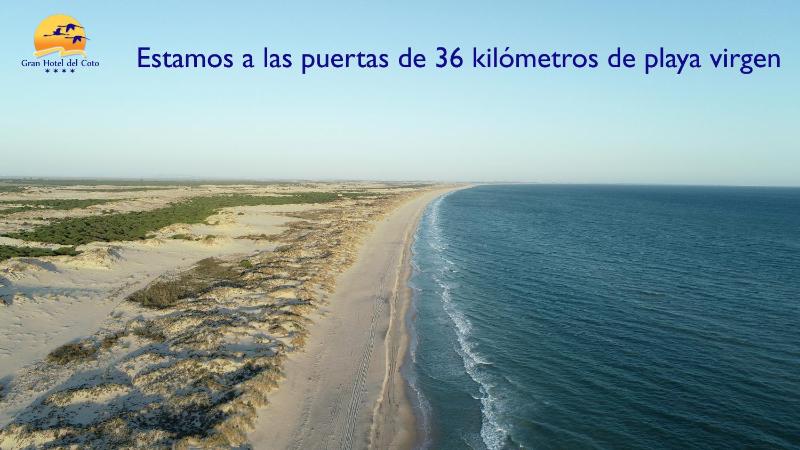 Double Room with Sea View image 2