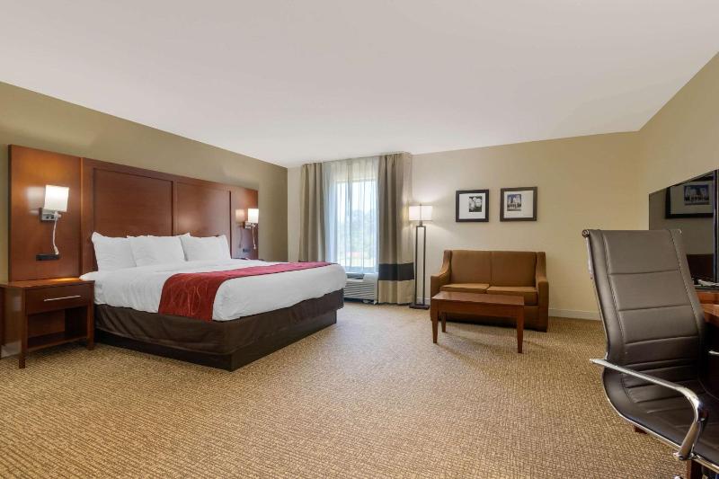 King Suite - Non-Smoking image 1