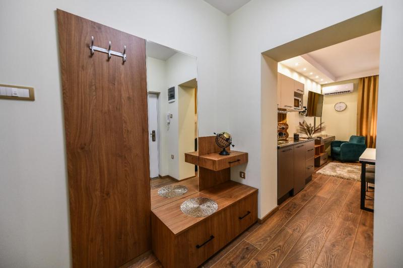 One-Bedroom Apartment image 4