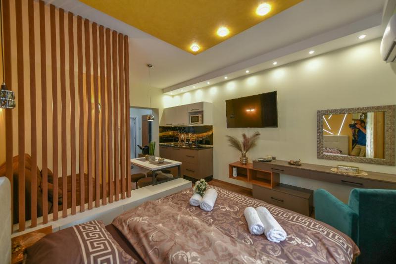 One-Bedroom Apartment image 3