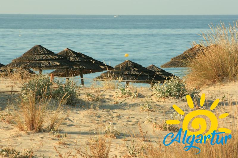 Cabanas Ria Sea View By Algartur - image 39