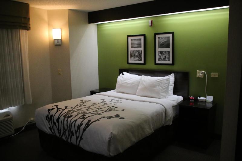 Queen Room - Accessible/Non-Smoking image 4