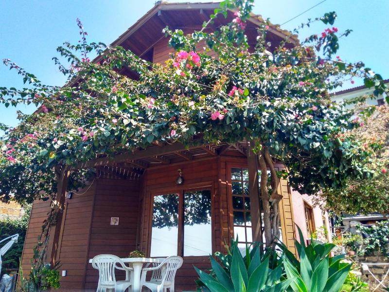 Casa na Ilha da Magia Images
