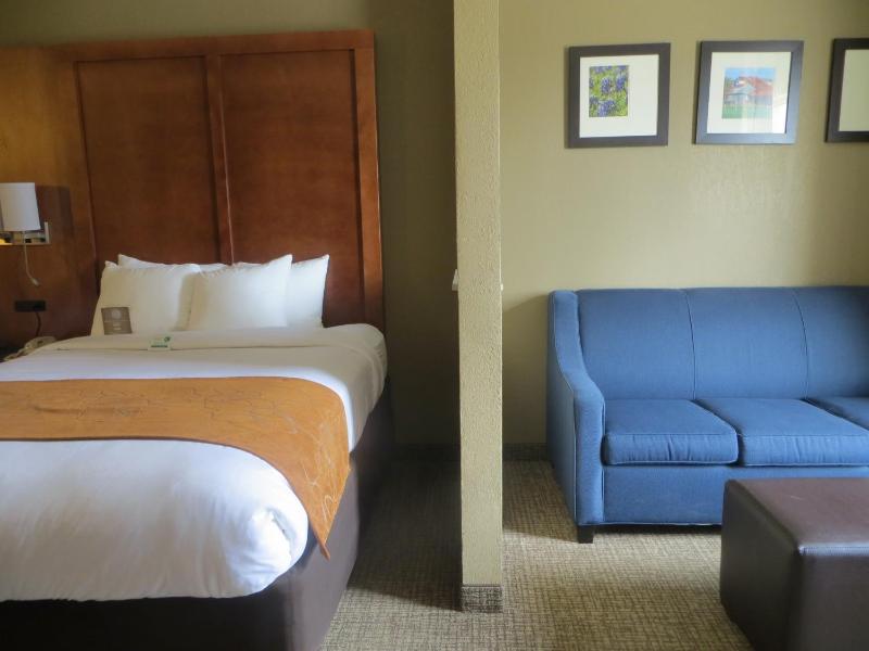 King Suite with Sofa Bed - 1st floor image 3