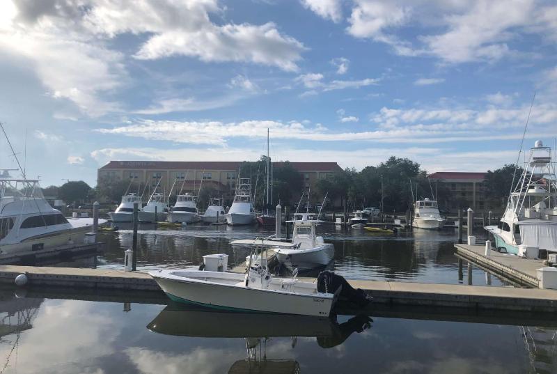 La Quinta Inn & Suites by Wyndham Charleston Riverview - image 25