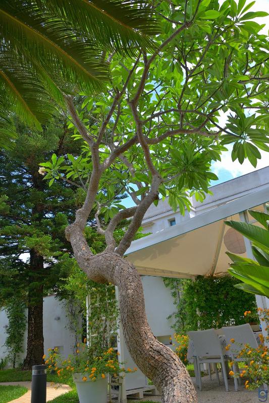 B&b Mondello Resort - image 27