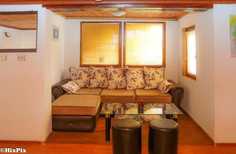 Apartment with Terrace image 2