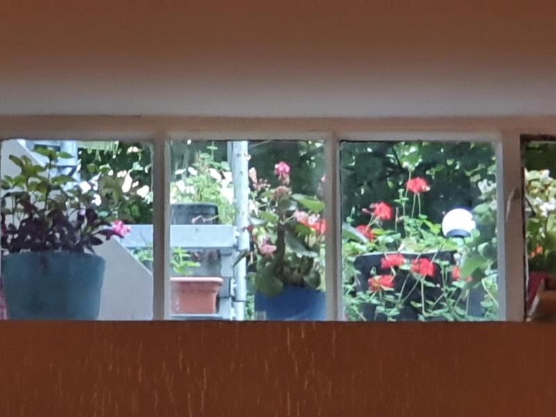 Single Room with Terrace image 2