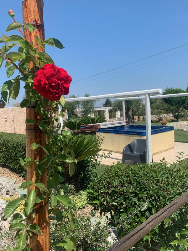 One-Bedroom Apartment (3 Adults) image 2