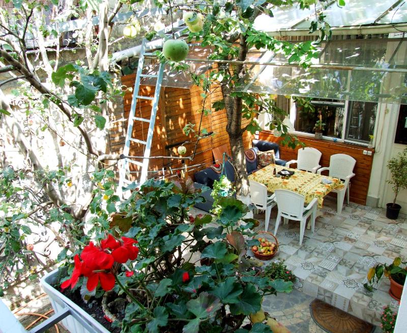 Studio with Garden View image 2
