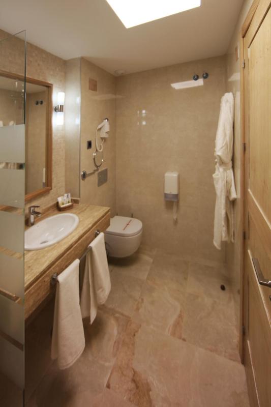 Double or Twin Room image 1