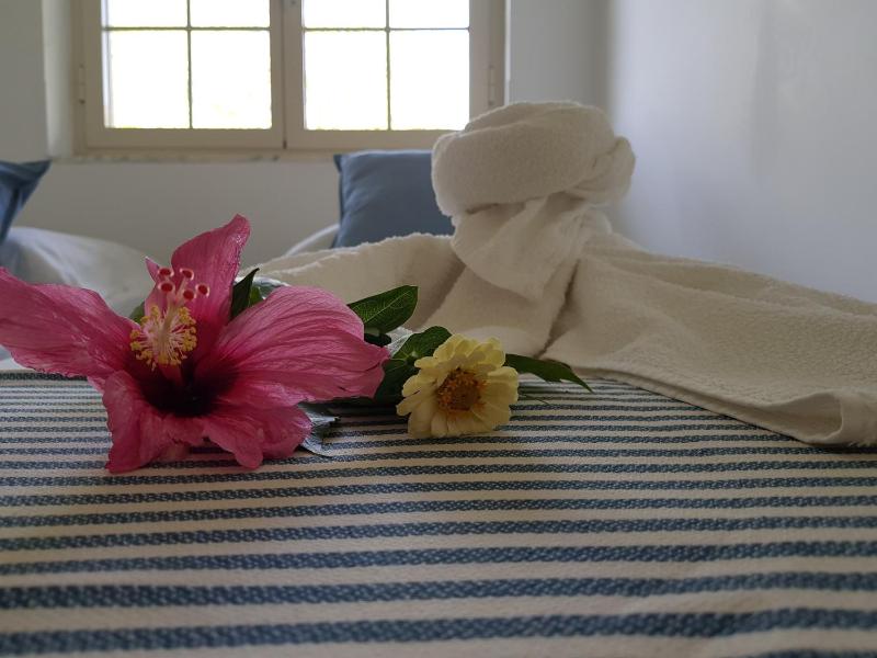 Villa Laria Tropea - image 6