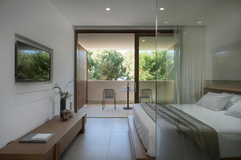 Deluxe Room image 3