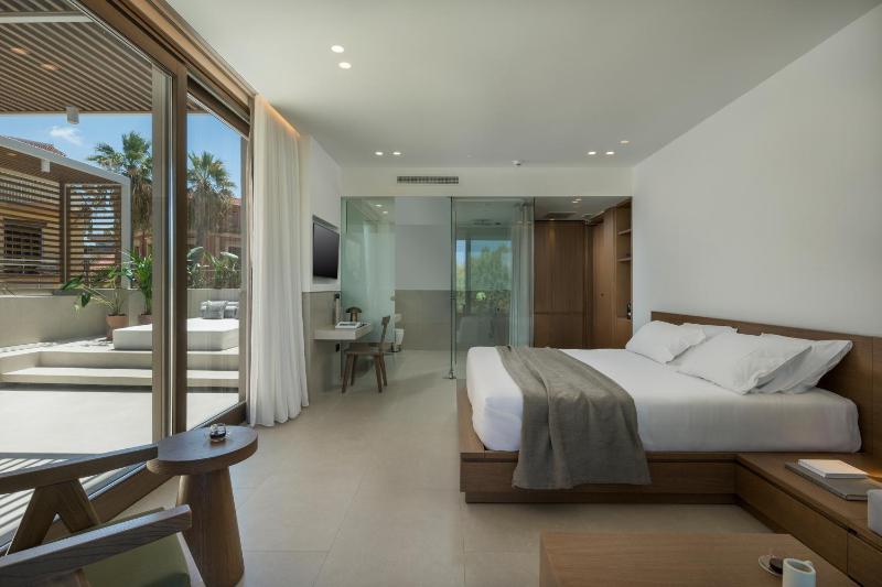 Deluxe Suite with private swimming pool image 3