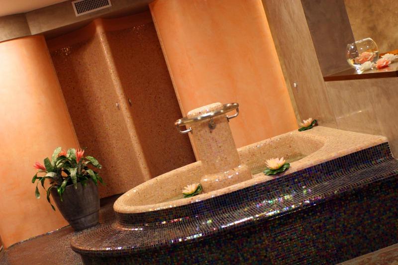 Double or Twin Room with Spa Access image 3