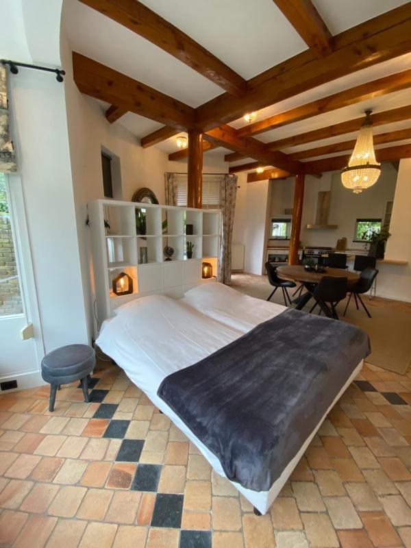 Deluxe Double Studio image 2