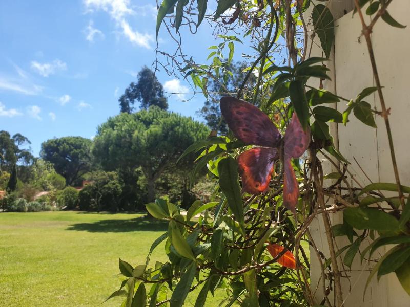 Holiday Home image 4
