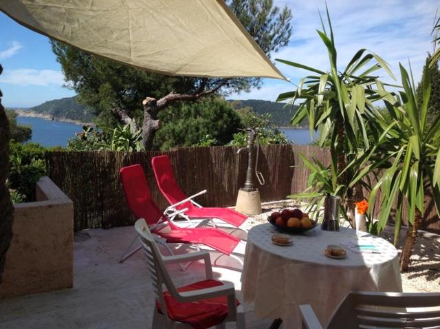 La Coccinelle - image 11