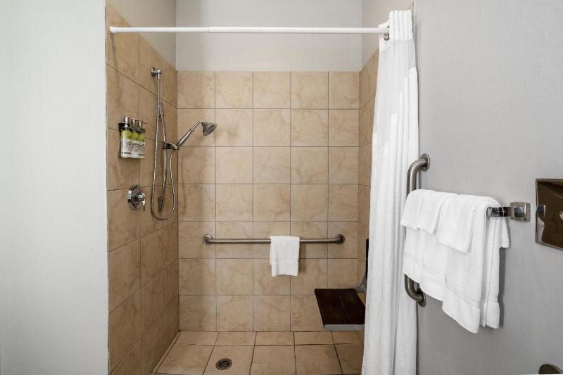 King Room - Disability Access Roll in Shower image 1