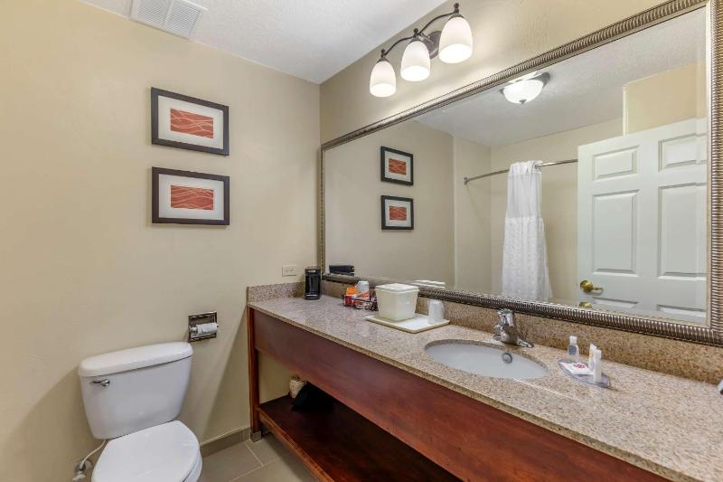 Standard King Room - Non-Smoking  image 3